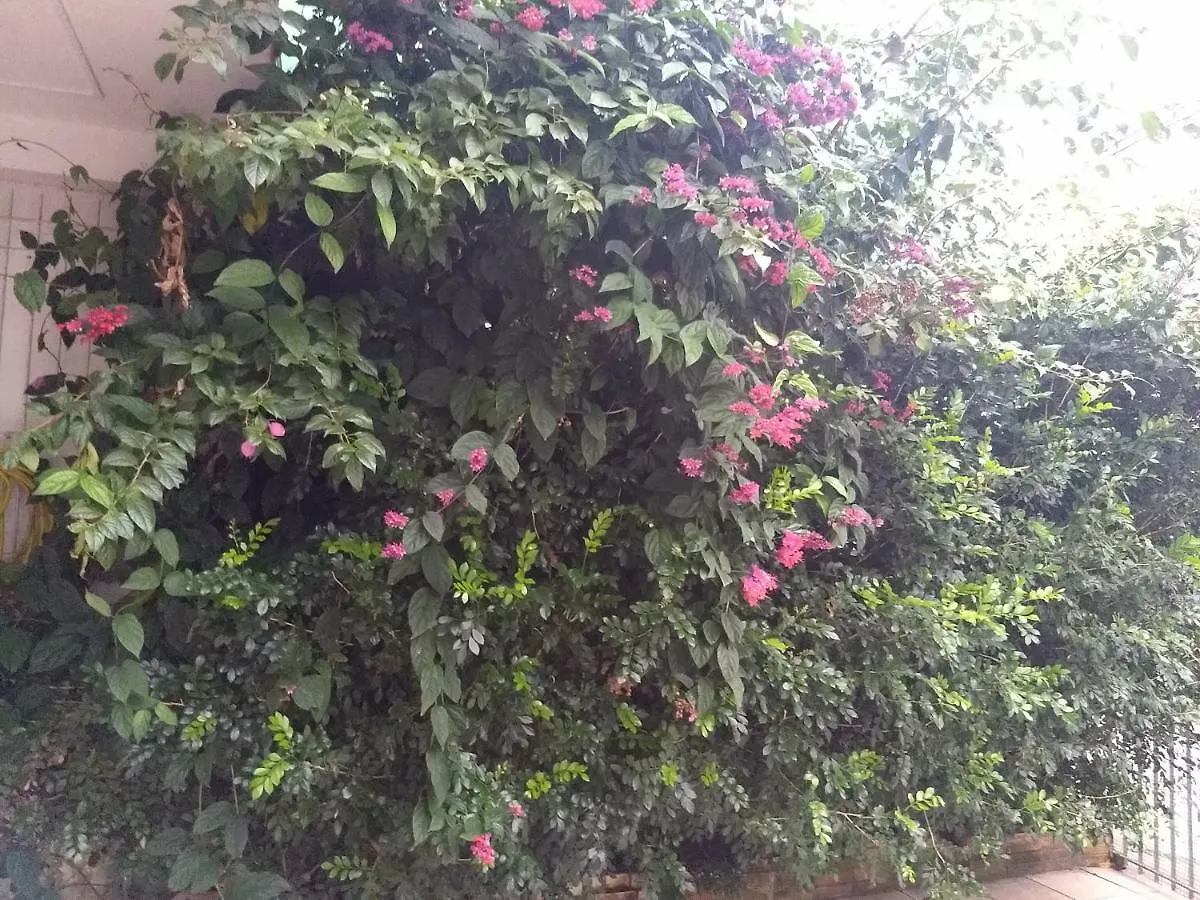 Guest house Pousada Sibeus Florianopolis
